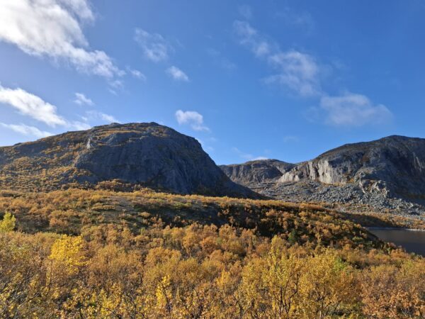 🍂 Terveisiä Ruskamatkalta! 🚌✨ Ruskamatkalaisemme pääsivät tänään nauttimaan upeasta päiväretkestä pohjoisen maisemissa. Matka vei Saariselältä…