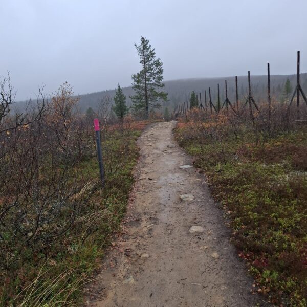 🍂 Ruskamatkalaisten retkipäivä Kiilopäällä 🍂 Eilen ruskamatkalaisemme suuntasivat Kiilopäälle ihailemaan Lapin syksyisiä maisemia. Sumu ja…